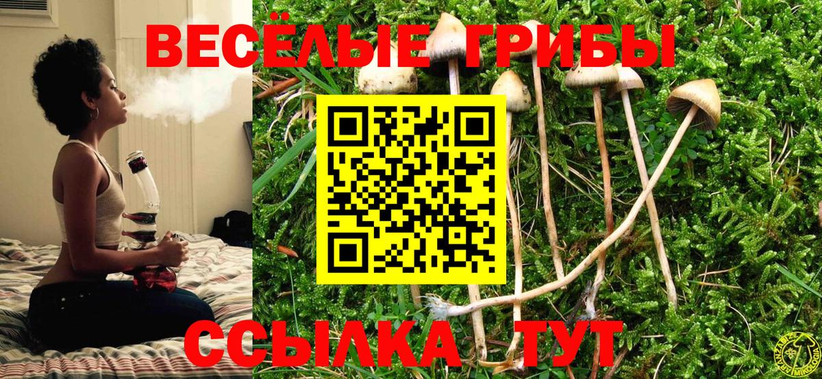 Галлюциногенные грибы Magic Shrooms Кинель