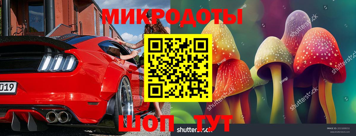 Кинель  Галлюциногенные грибы ЛСД  Вход с VPN 